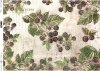 Fruta de decoupage de papel, moras silvestres*Бумага декупажа фруктов, ягоды ежевики*Papier decoupage Frucht, wilde Brombeeren